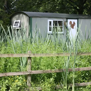 The Squirrels Drey Shepherds Hut Cowling